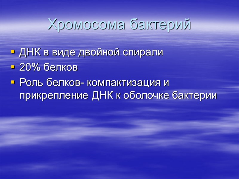 Хромосома бактерий ДНК в виде двойной спирали 20% белков Роль белков- компактизация и прикрепление